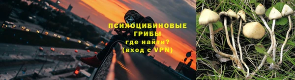 прущие крисы Беломорск